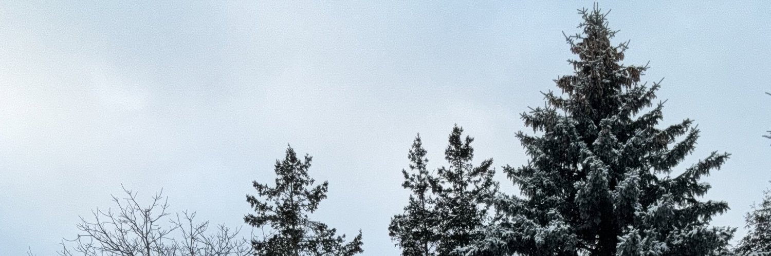 iamcassiegrey's profile banner image