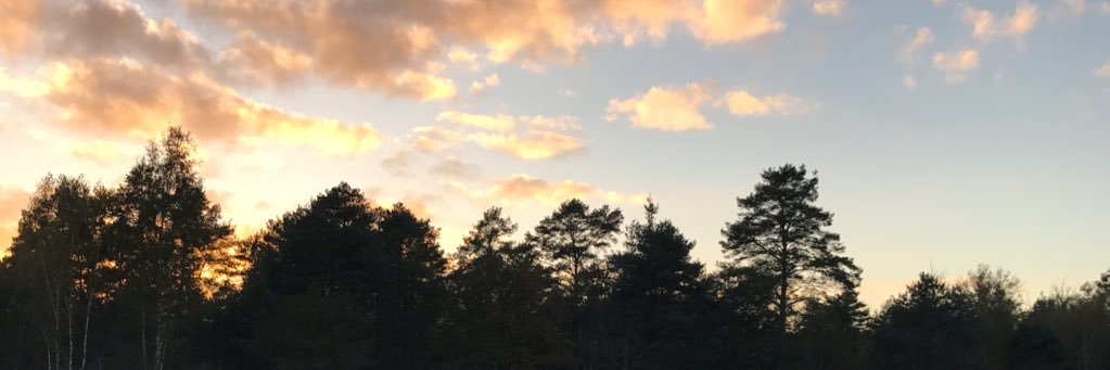 blanchetced's profile banner image