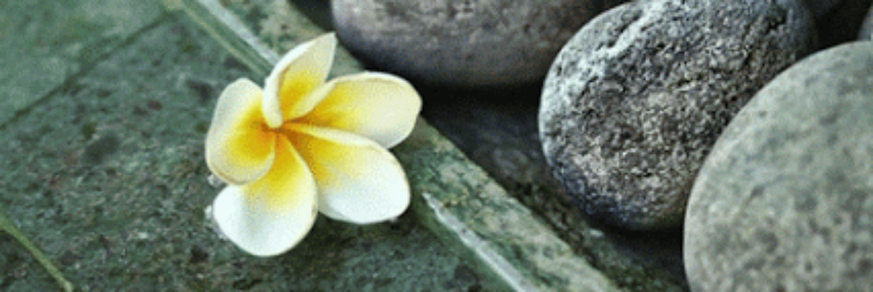 pops1199's profile banner image
