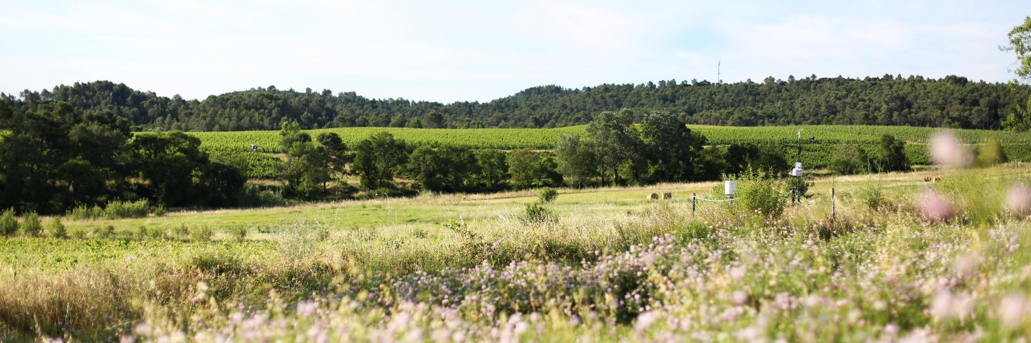 Morgane Le Breton banner