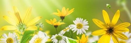 Anyuta2104's profile banner image