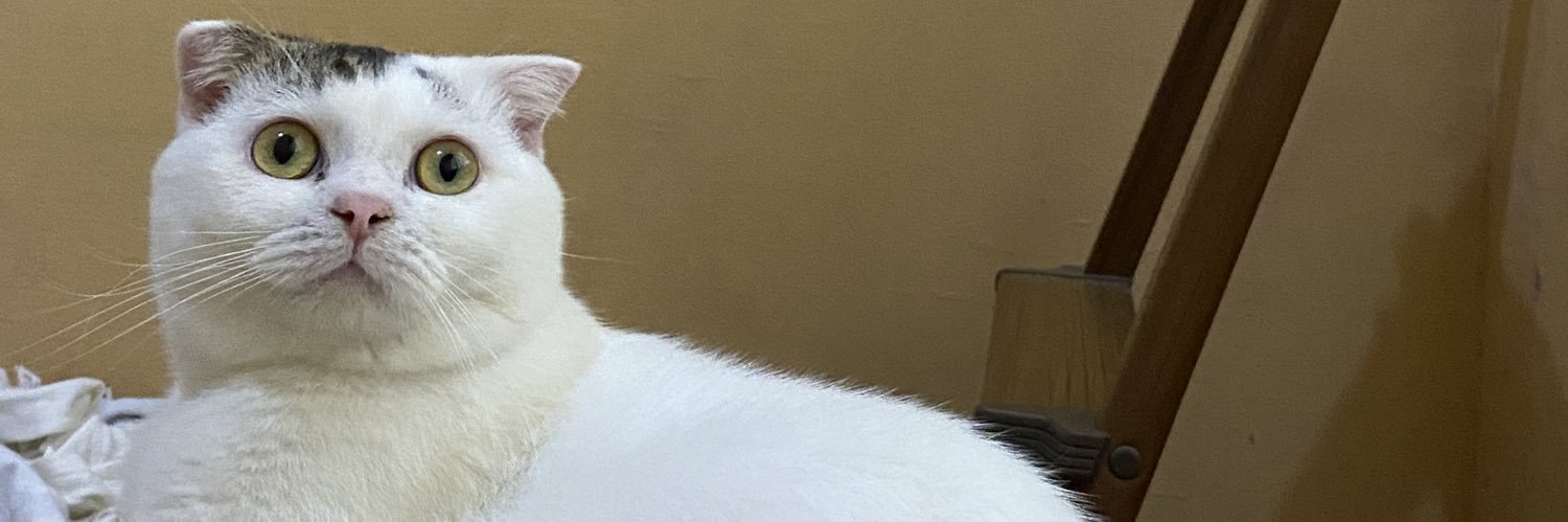 NaomiClarice's profile banner image
