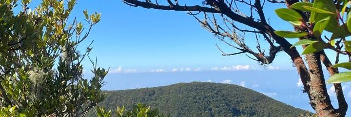 ssarahyi's profile banner image