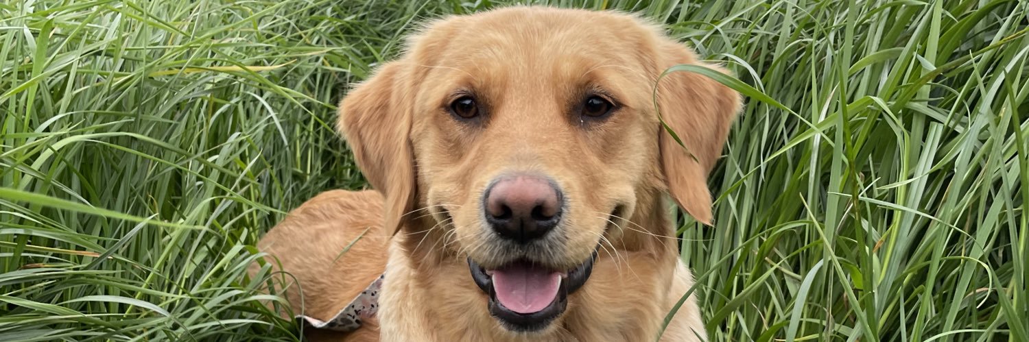 Kaitlynncoyle's profile banner image