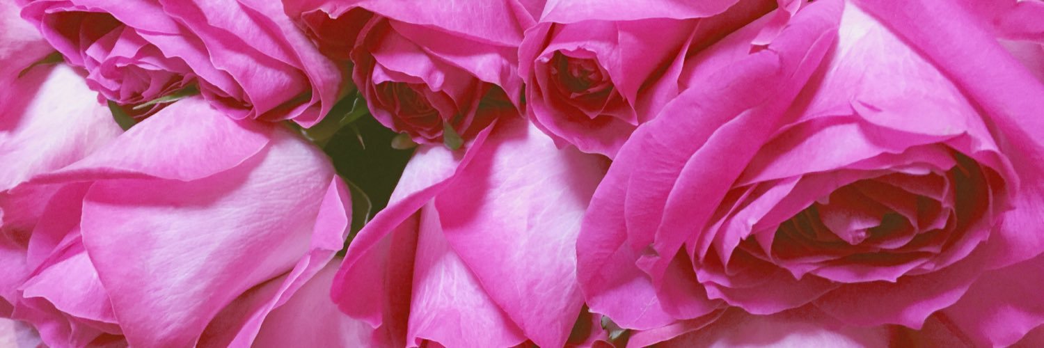risa47693033's profile banner image
