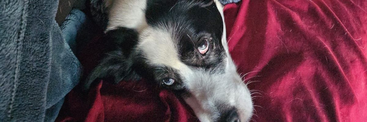 YalyEsquivel's profile banner image