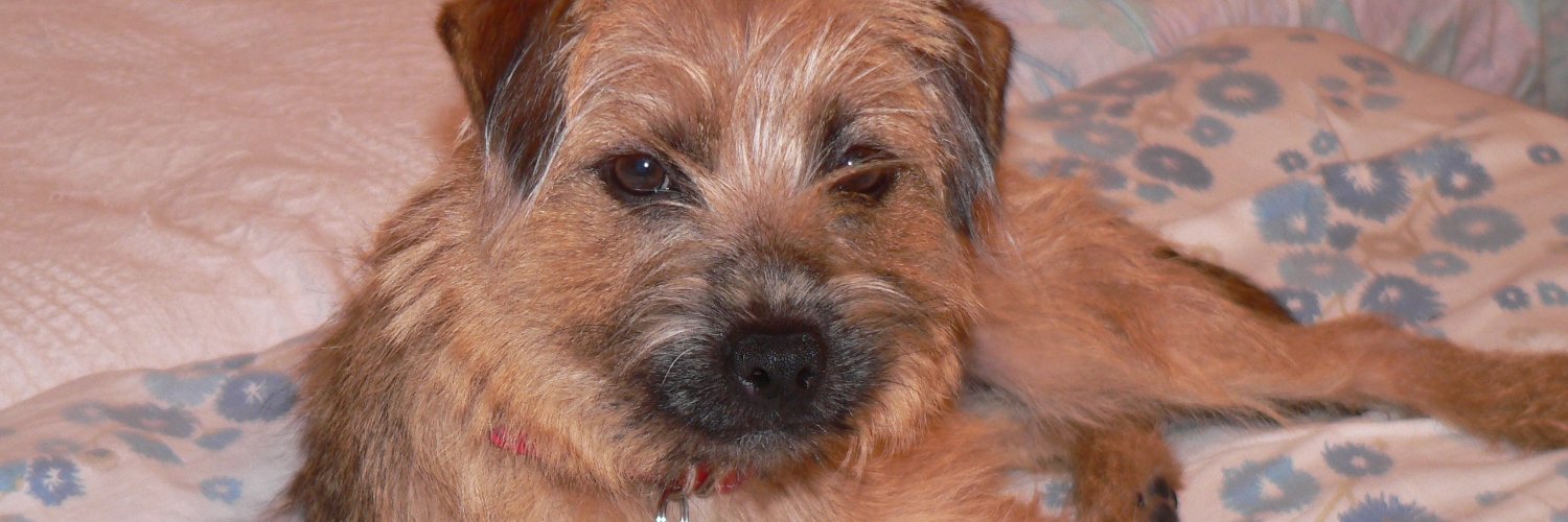 Heather💚& Princess Willow banner