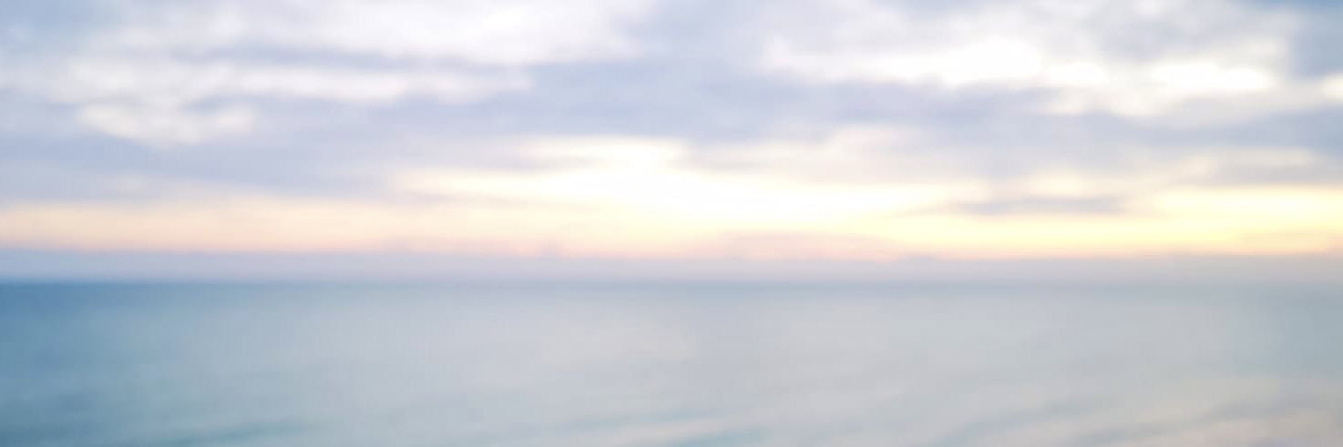 PCiccolella's profile banner image