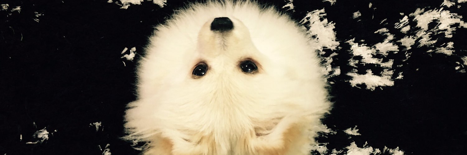 AltoprakKerm's profile banner image
