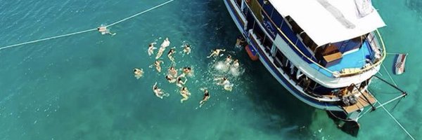 heidisull Profile Banner