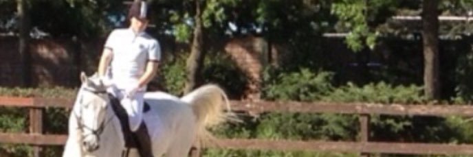 bguvelioglu's profile banner image