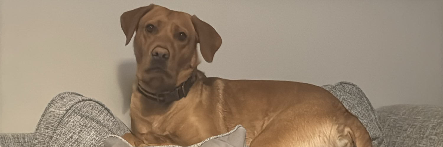 RhianLon's profile banner image