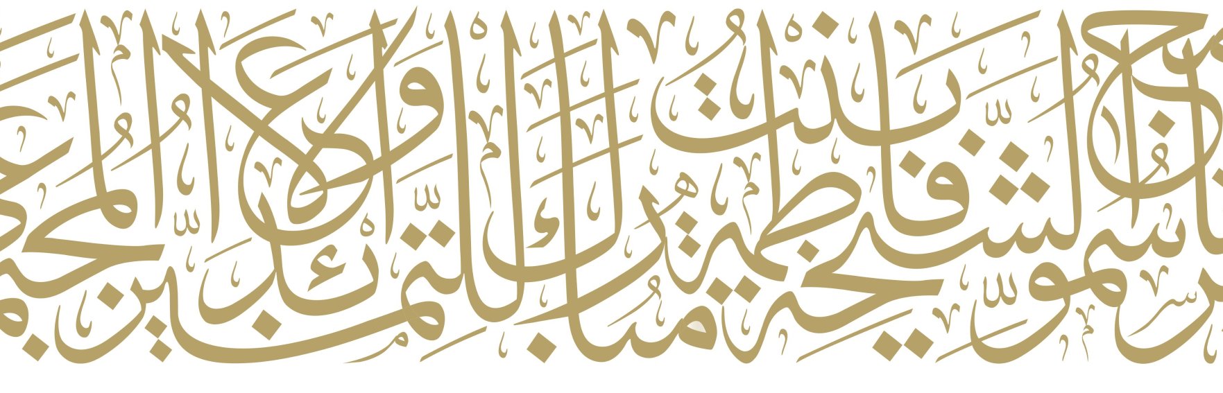 HHFatimacse's profile banner image