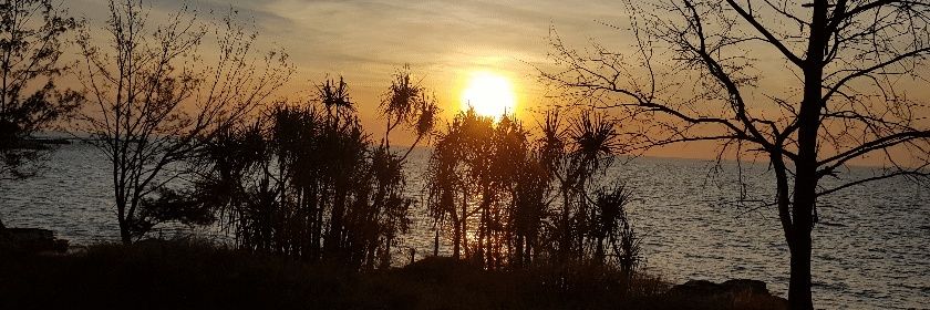iwebba's profile banner image