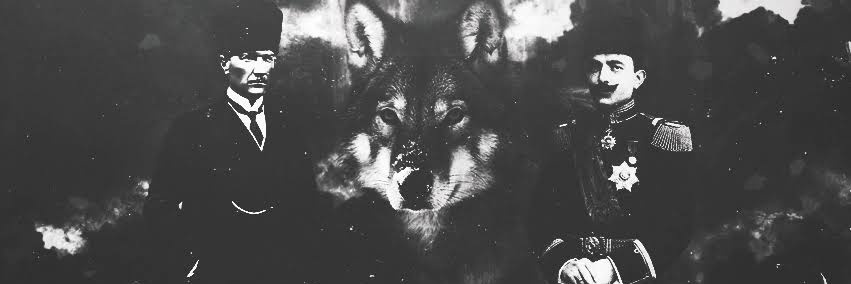 Ömer DOĞANAY banner