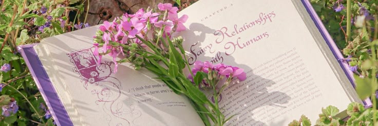 flo banner