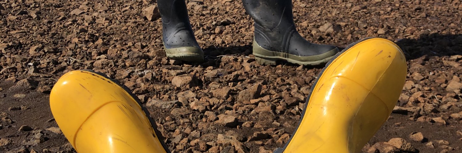 Aussie Wellie Boi banner