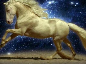 Patoriyomy's profile banner image