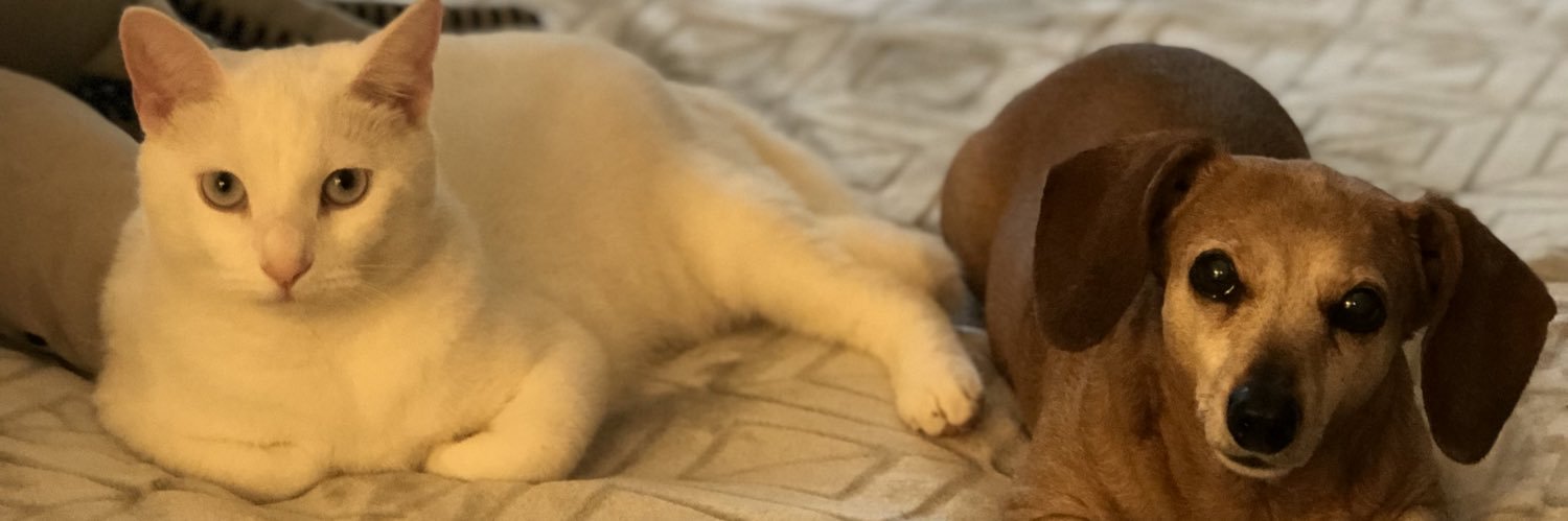 JNCorum's profile banner image