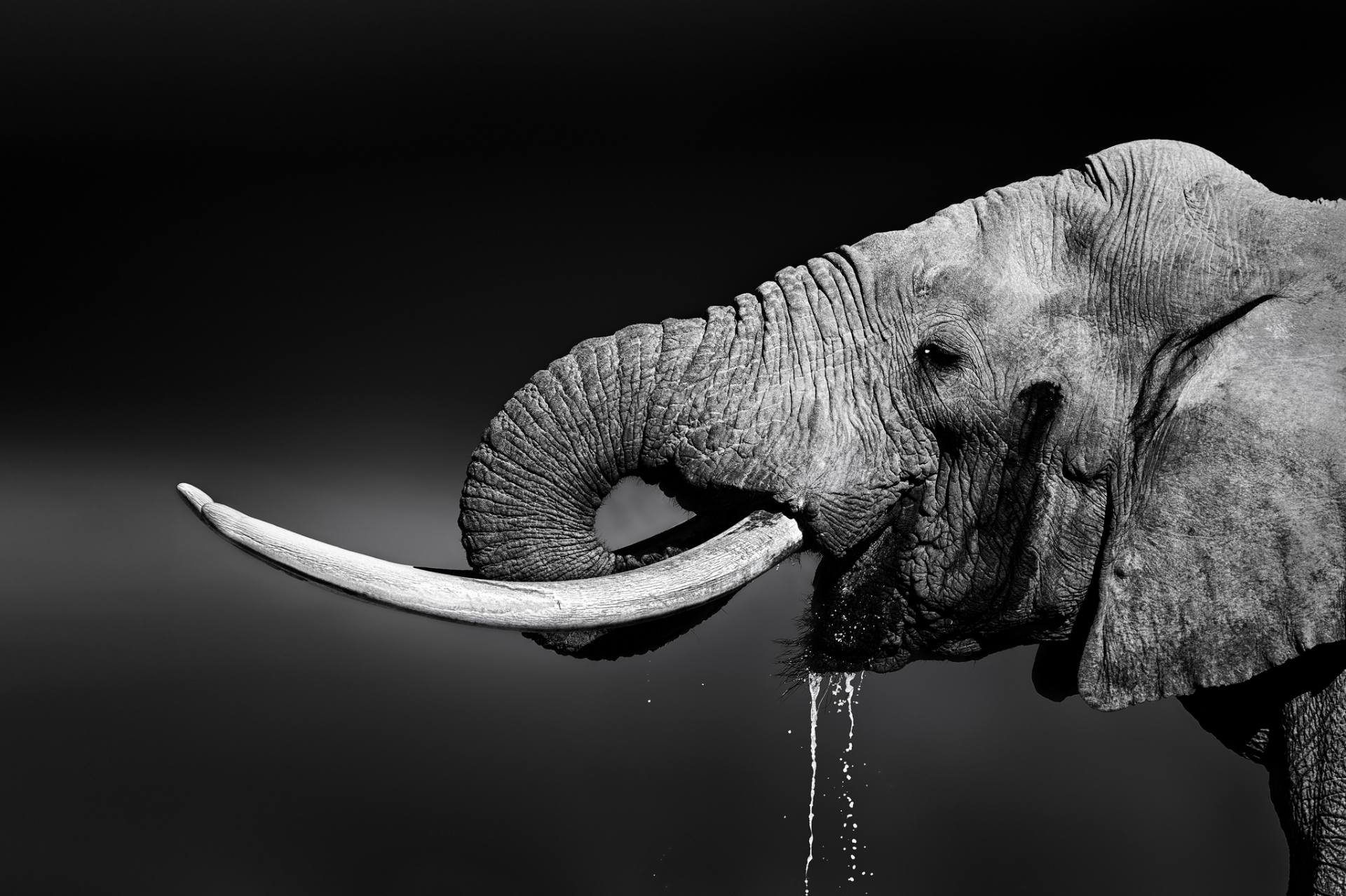 LoganMcCormick's profile banner image