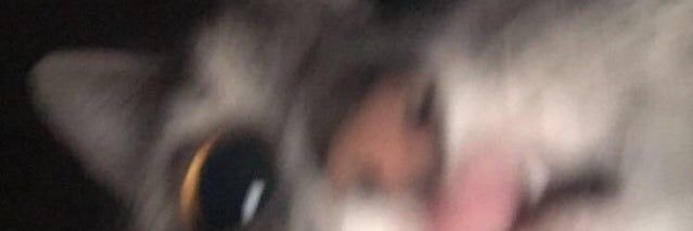 sarcasssm's profile banner image
