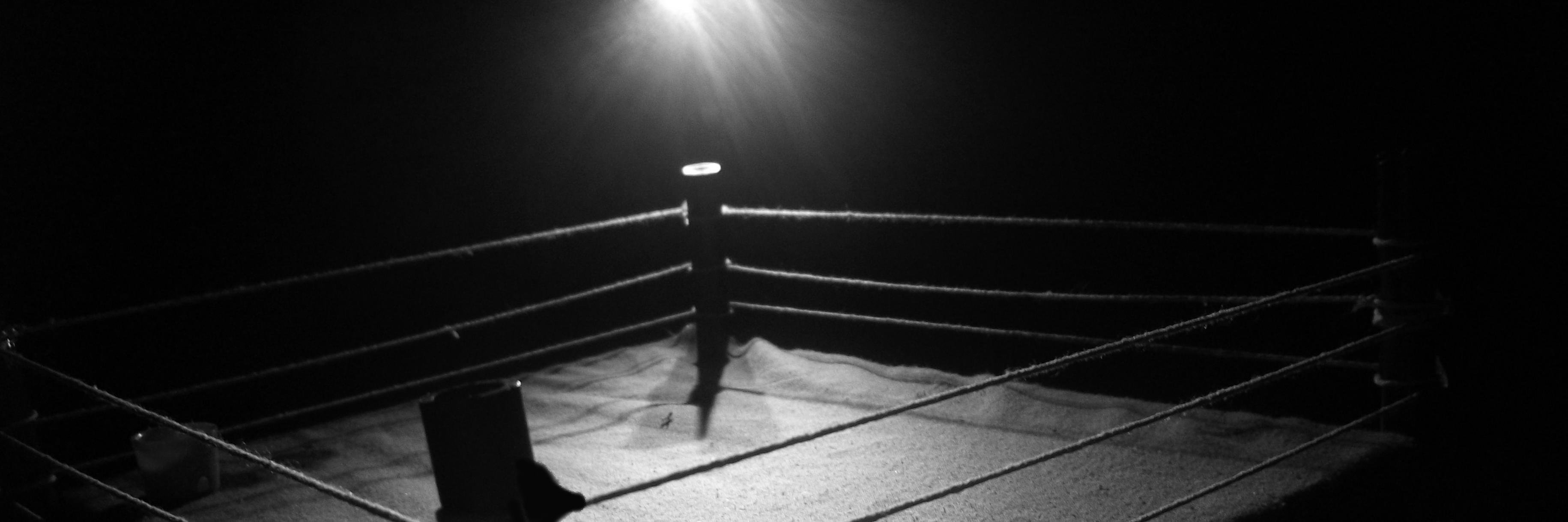 Rocky1223's profile banner image
