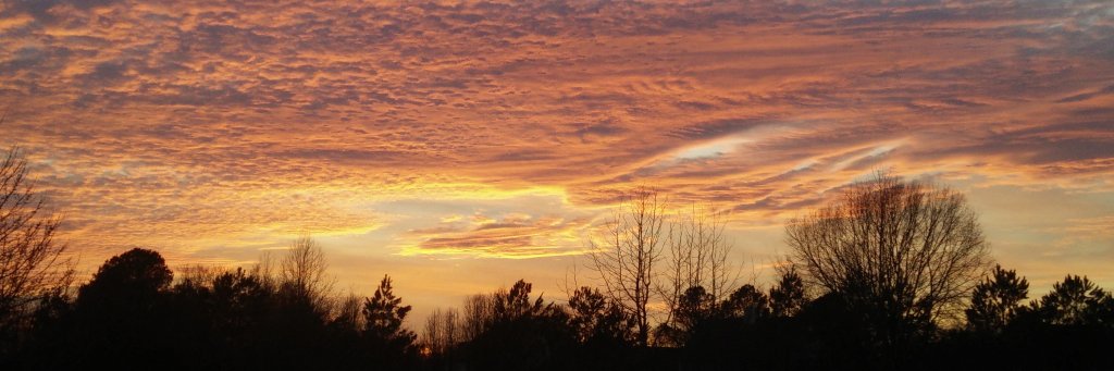 Patrick Healy banner