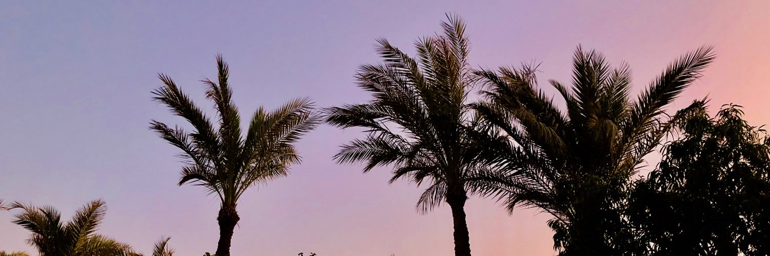 rachaelroot_'s profile banner image