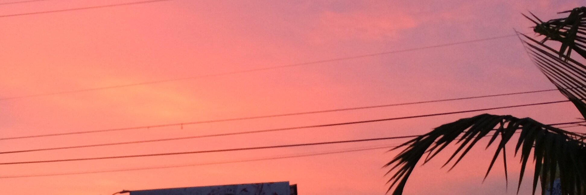 michaelanticoli's profile banner image