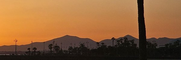 TreezyDD Profile Banner