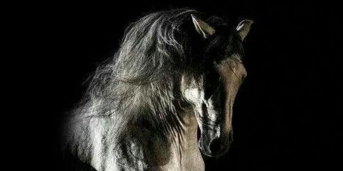 SoniaAjates's profile banner image