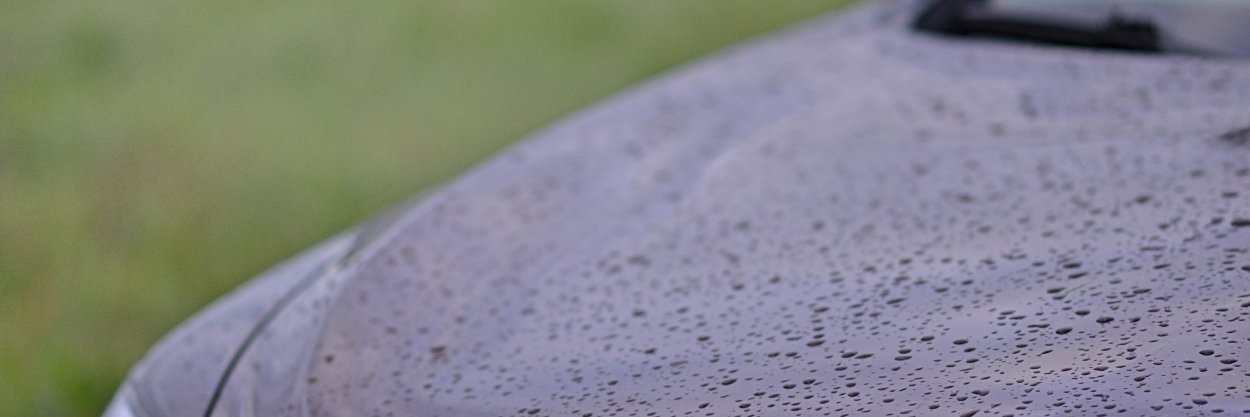 kolohui's profile banner image