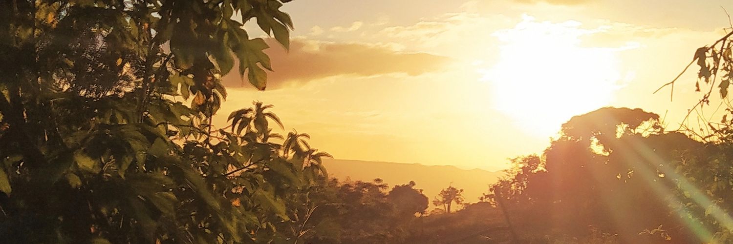 GSanguineto's profile banner image