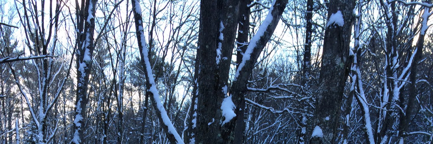 bbrendenn's profile banner image