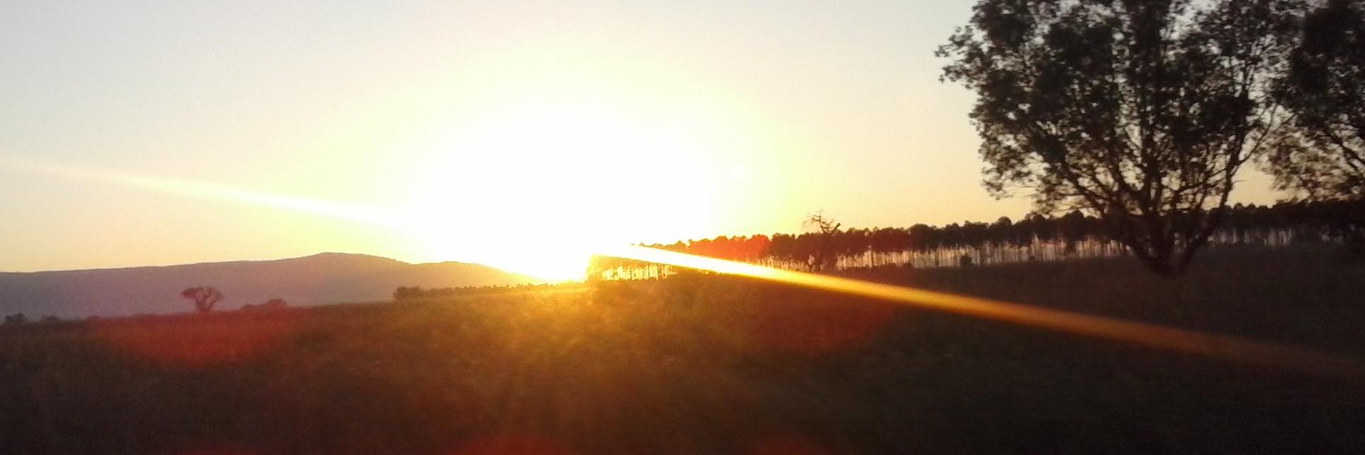 maximillian_77's profile banner image