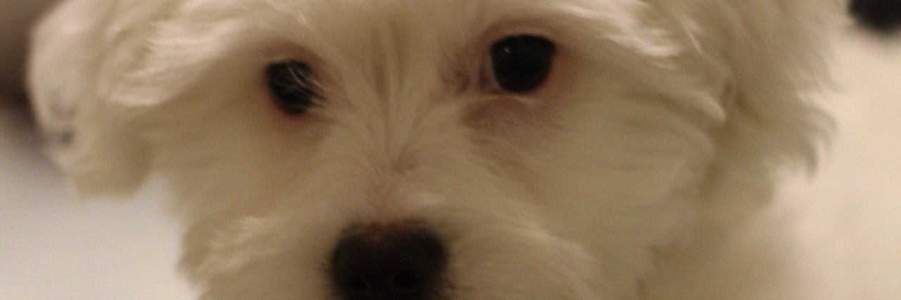luiscabrejos's profile banner image