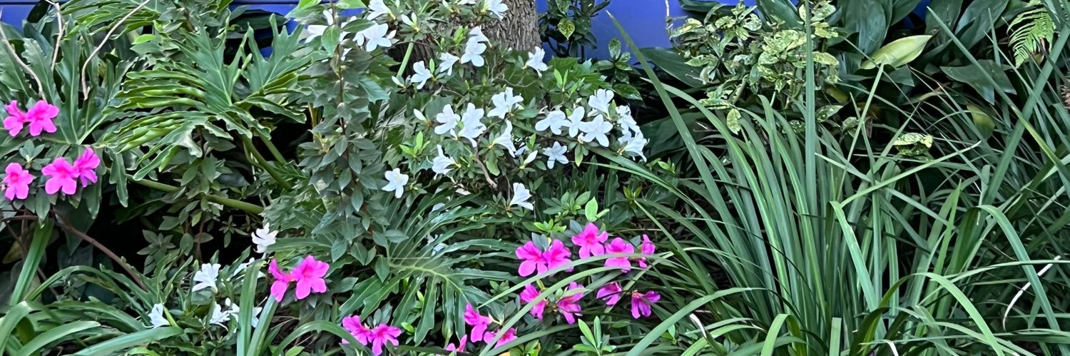 Christa van der Walt banner