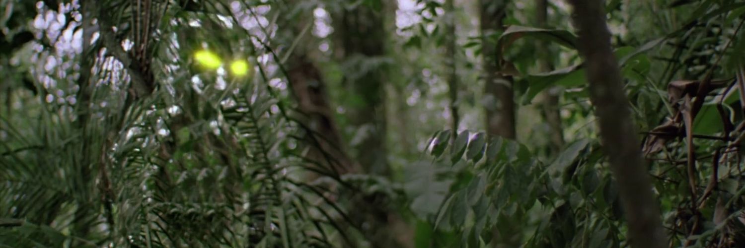 thiagorcbraga's profile banner image