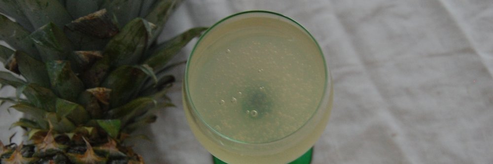 Dr. Julia Skinner (new book: Fermentation Oracle!) banner