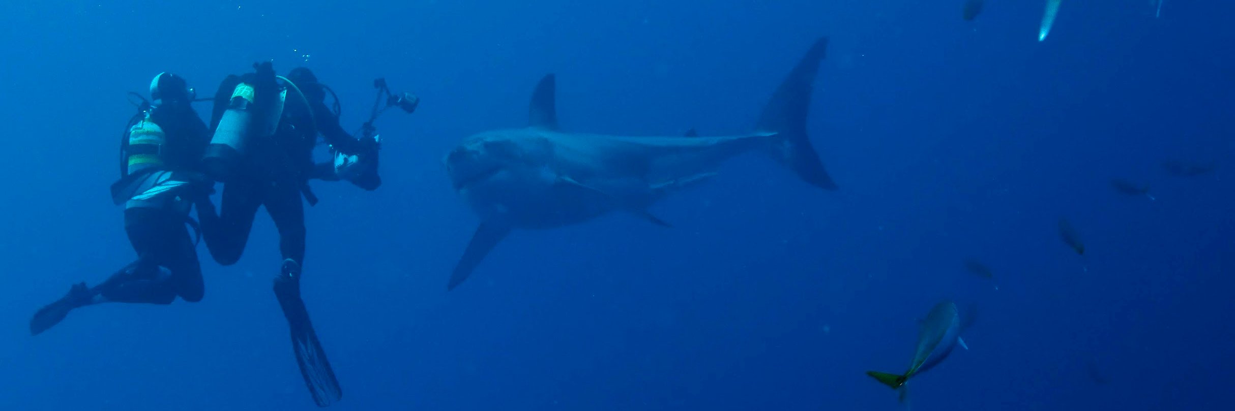 Connor O'Brien banner