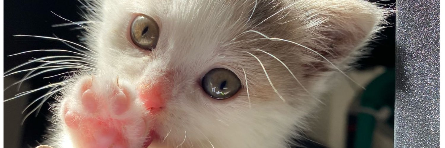 beyzanursahinx's profile banner image