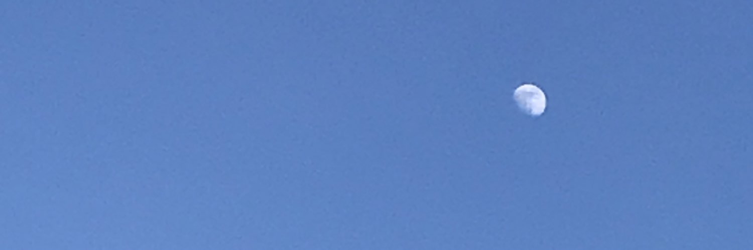 nyrabbit22's profile banner image