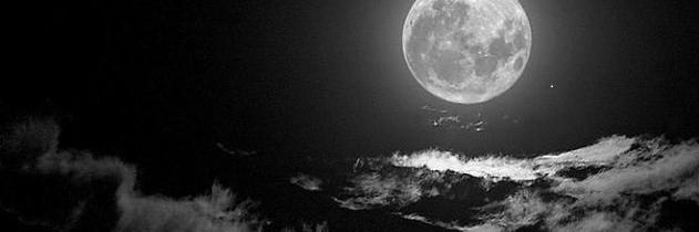 شاكرورسـ... banner