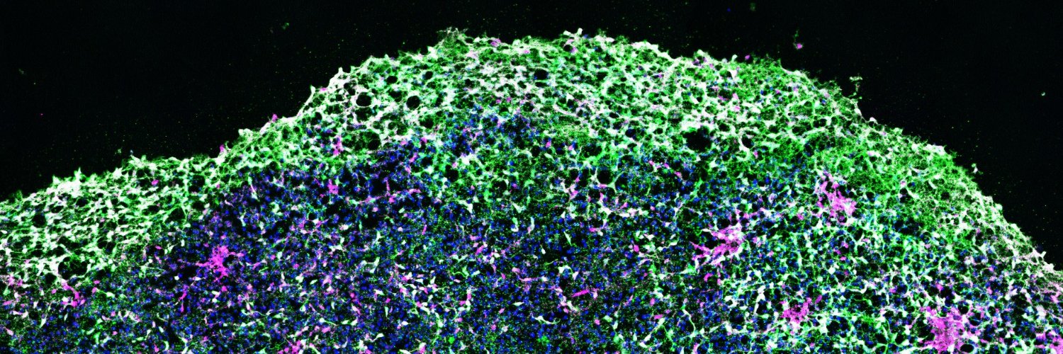 Neil Chatterjee banner