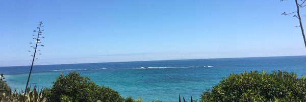 MorilloMercedes Profile Banner