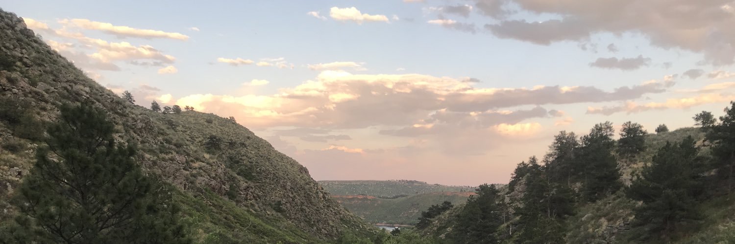 NikiCalmeyn's profile banner image
