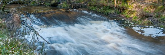 Calder Rivers Trust's banner
