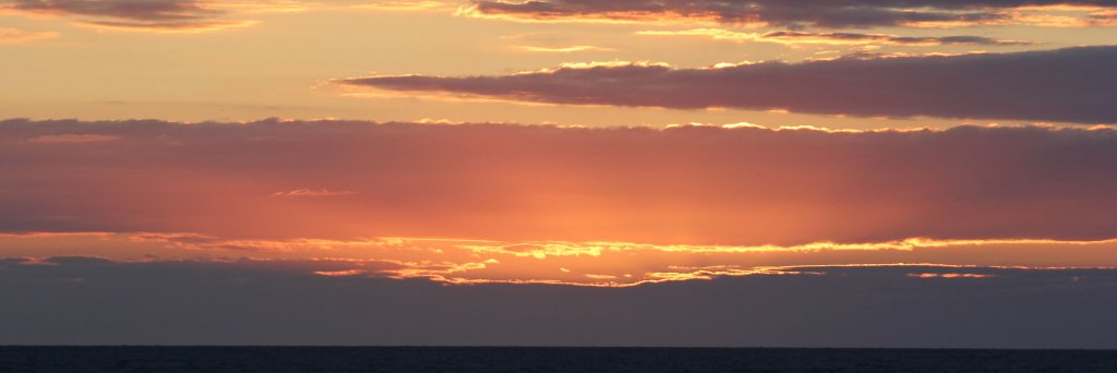 Maria Antonietta Loi banner