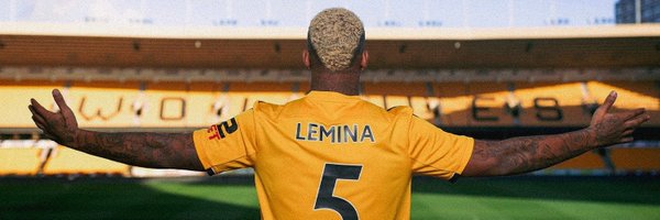 Mario Lemina Profile Banner