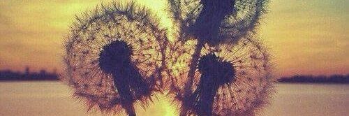 _gium's profile banner image